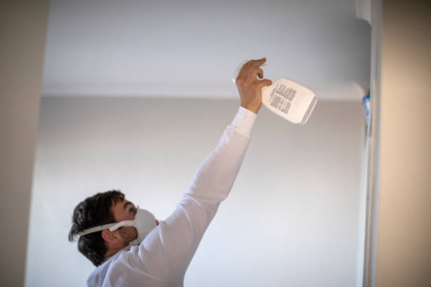 Best Professional Mold Removal  in Los Chaves, NM