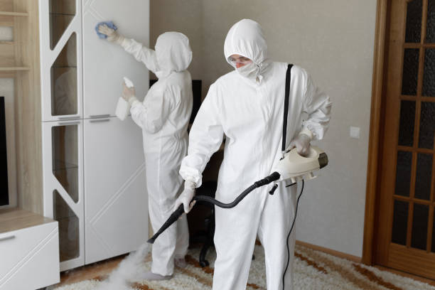 Best Certified Mold Removal  in Los Chaves, NM