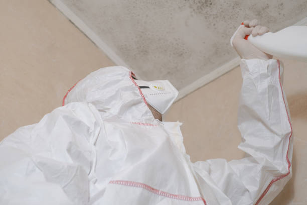 Best Office Mold Removal Services  in Los Chaves, NM