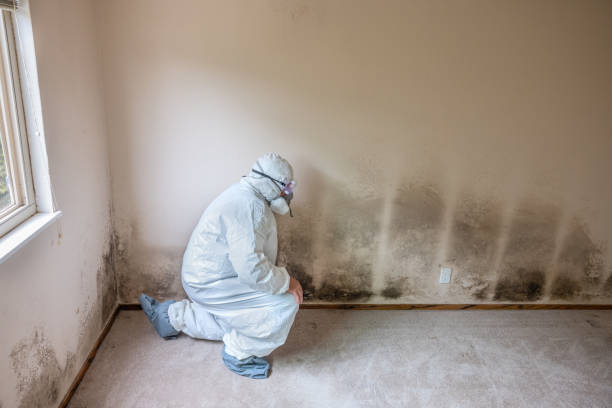 Best Mold Testing  in Los Chaves, NM